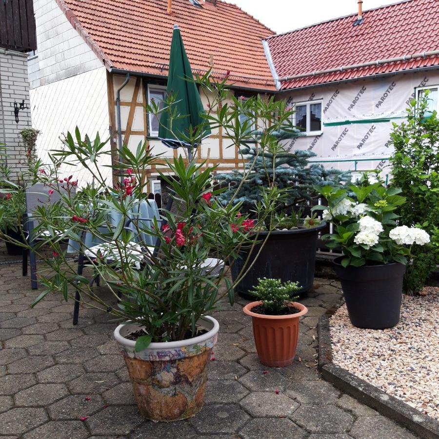 Ferienwohnung Am Berge Wolfshagen  Ngoại thất bức ảnh